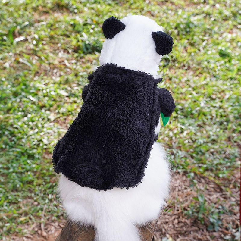 Panda Standing Funny Transformation Into Pet Costume