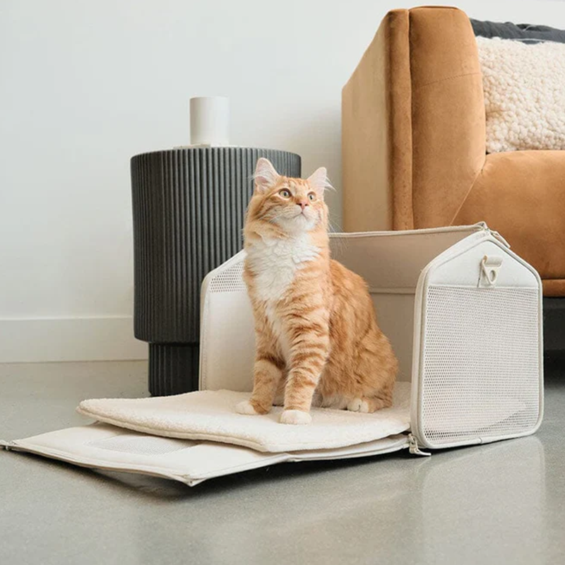 Hand-held luggage cat bed